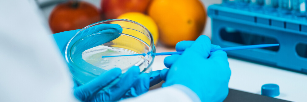 Food Safety Training 2