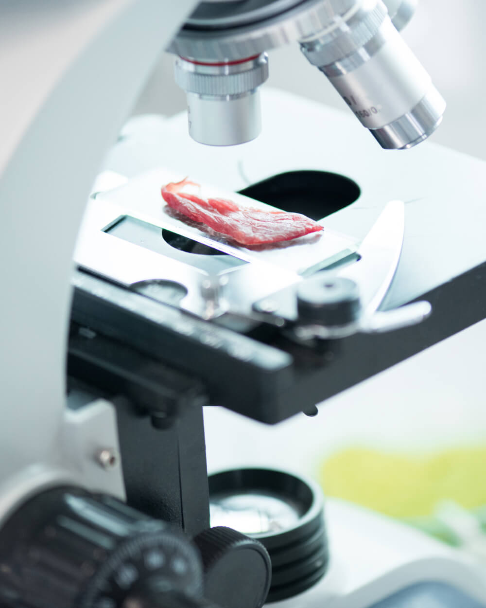 Food Under A Microscope